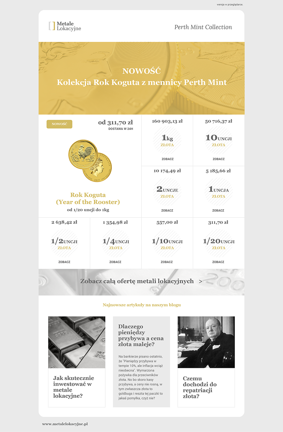 projekt strony internetowej